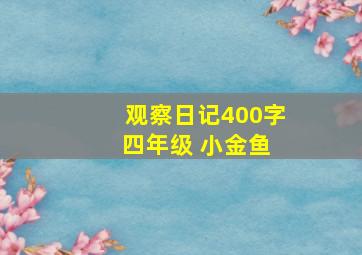 观察日记400字 四年级 小金鱼